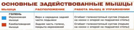 Подъемы на носки в тренажере для жимов ногами - мышцы