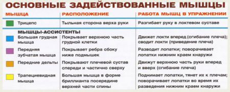 Жим штанги узким хватом лежа - мышцы