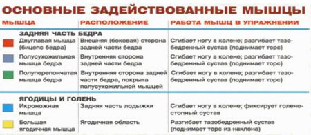 Гиперэкстензия для мышц бедра - мышцы