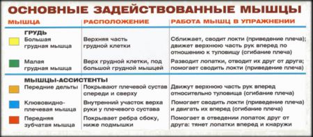 Сведения в тренажере Бабочка (Peck-Deck) - мышцы