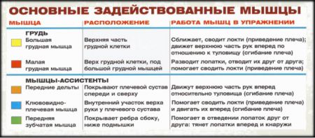 Сведение в кроссовере через верхние блоки - мышцы