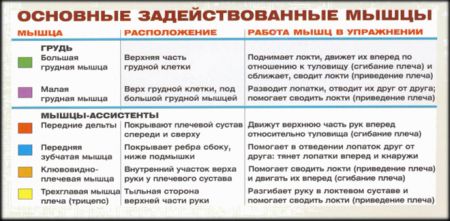 Жим гантелей лежа - мышцы