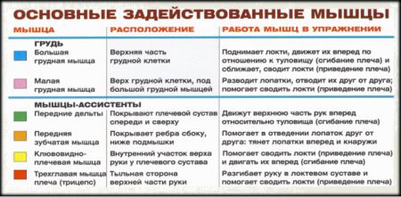 Жим гантелей на скамье с наклоном вниз - мышцы