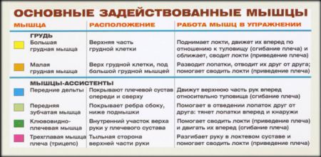 Жим штанги лежа - мышцы