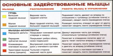 Жим штанги на скамье с наклоном вниз - мышцы