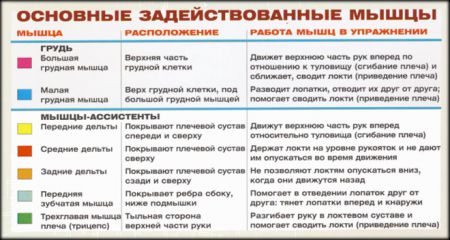 Жим от груди в тренажере сидя - мышцы