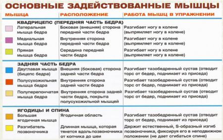 Гак-приседания - мышцы