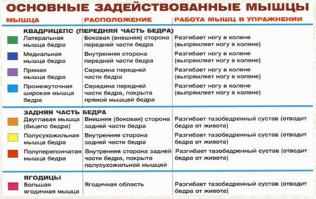 Жим ногами - мышцы