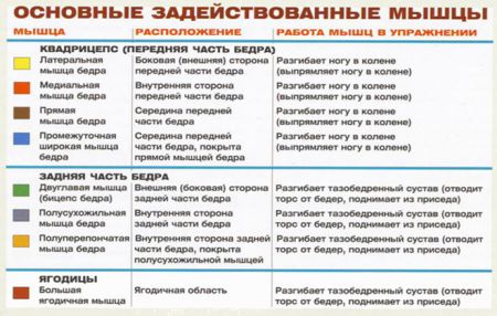 Вышагивания на платформу - мышцы