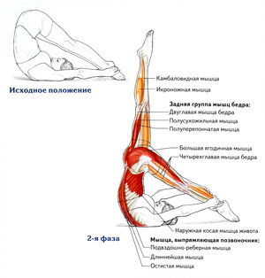 Упражнение контролируемый баланс