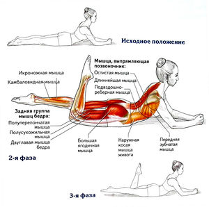 Упражнение удap пяткой