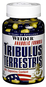 Tribulus Terrestris